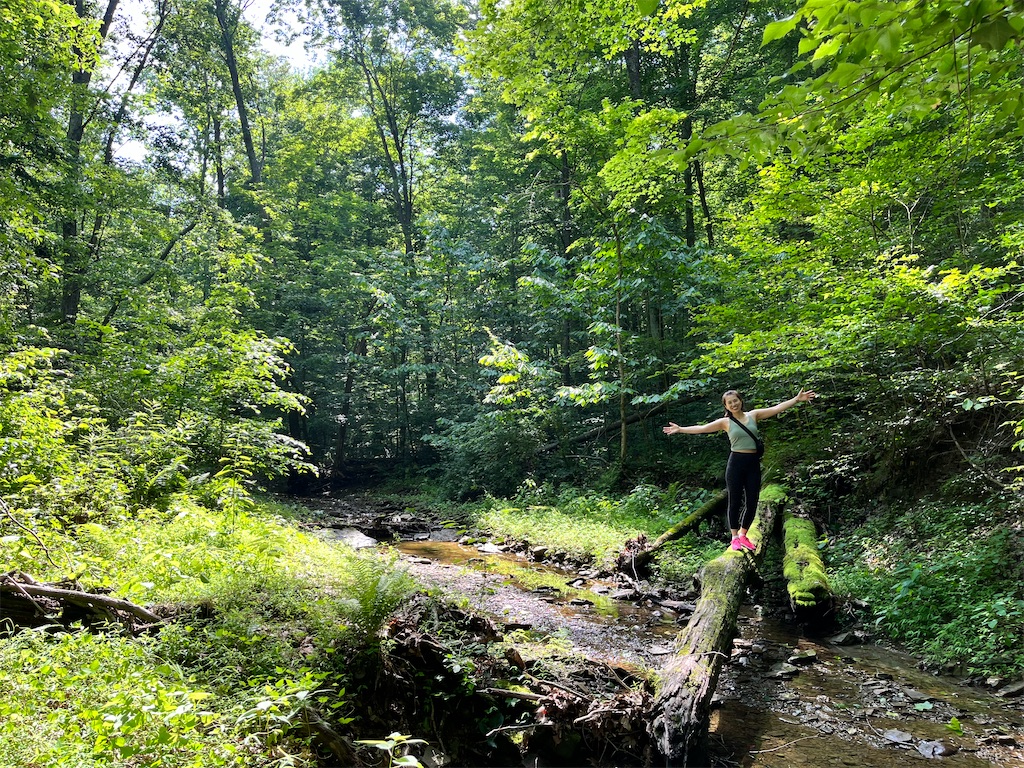 f:id:miki-from-usa:20230730110802j:image