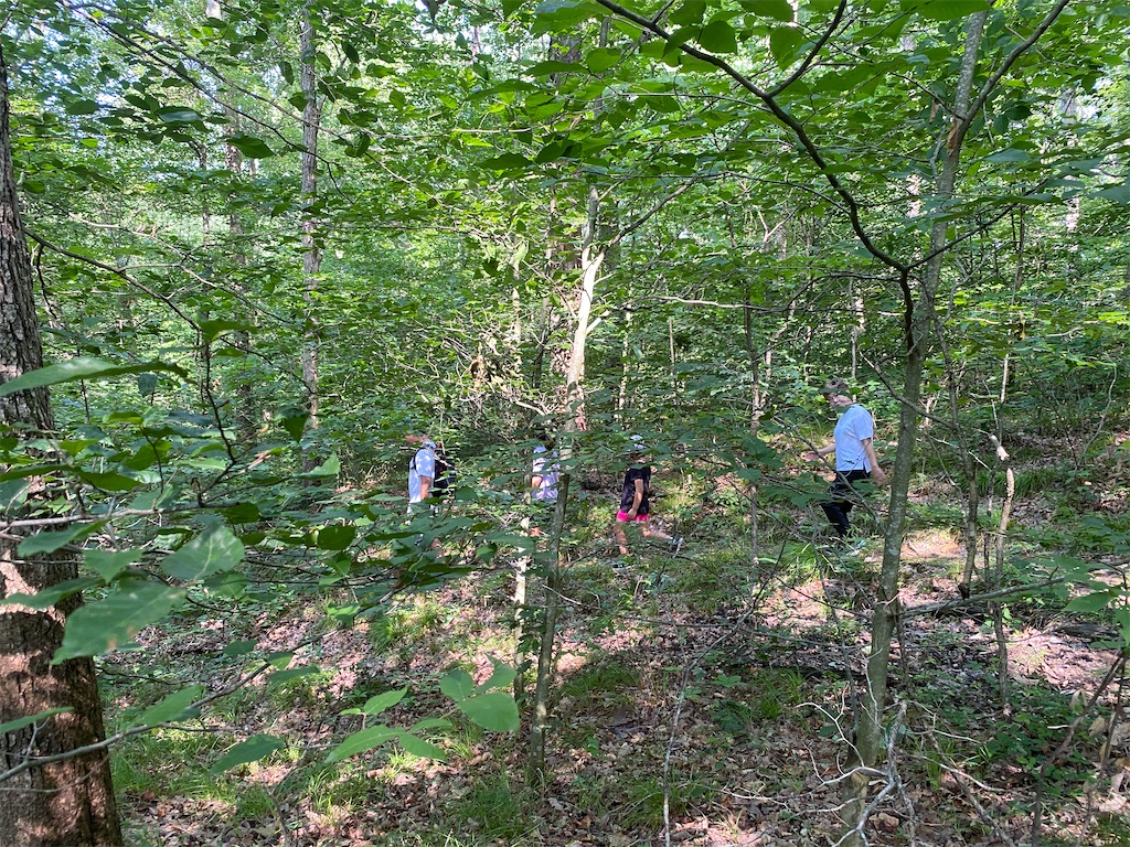 f:id:miki-from-usa:20230730110830j:image