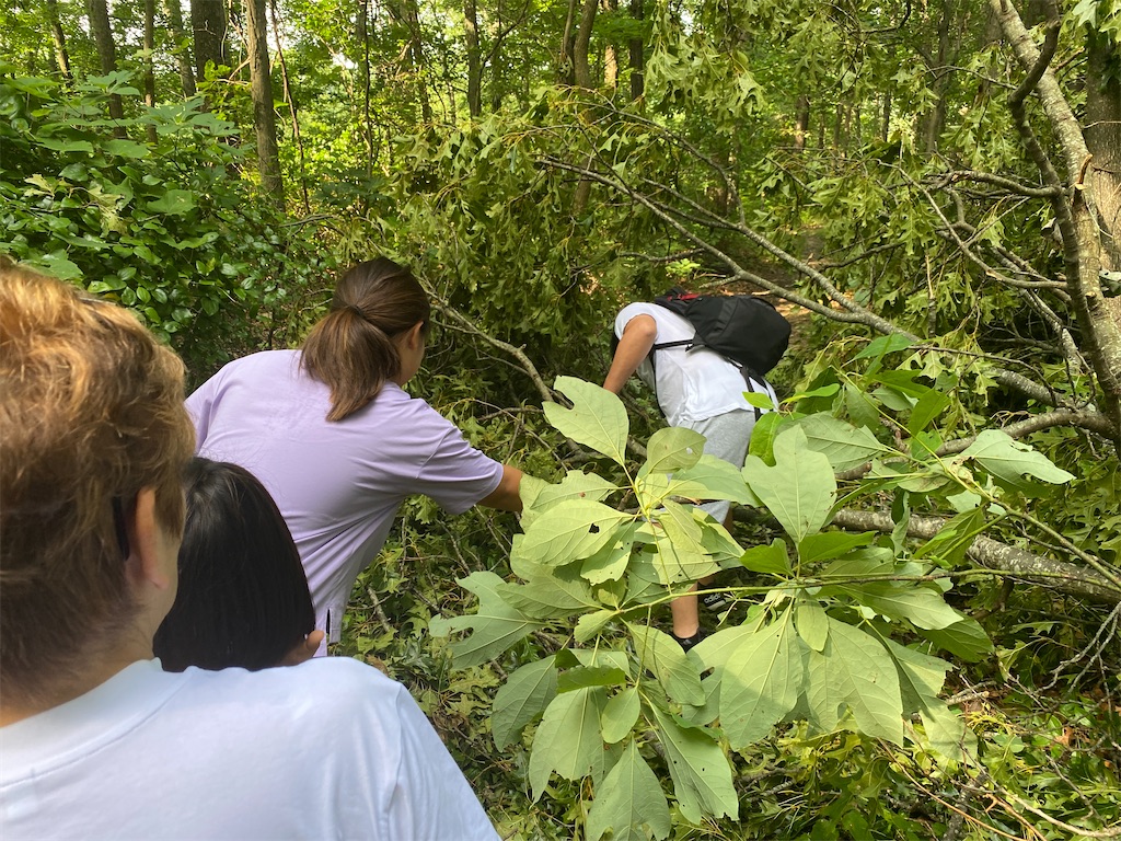 f:id:miki-from-usa:20230730110842j:image