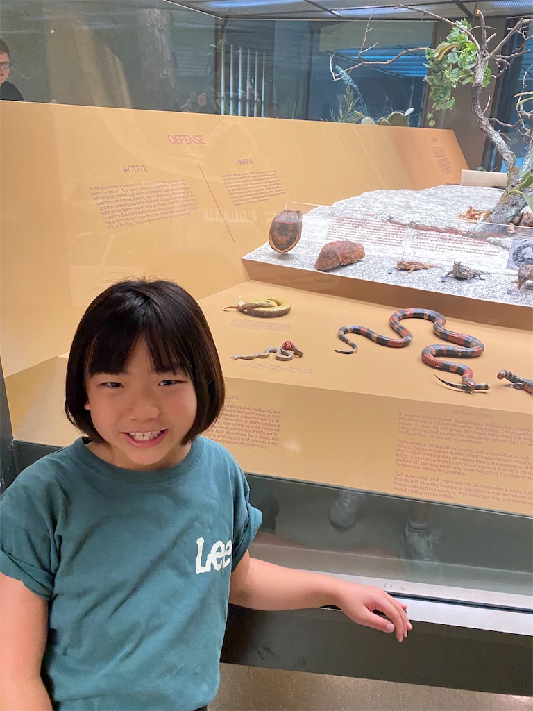 f:id:miki-from-usa:20230808223748j:image f:id:miki-from-usa:20230808223748j:image