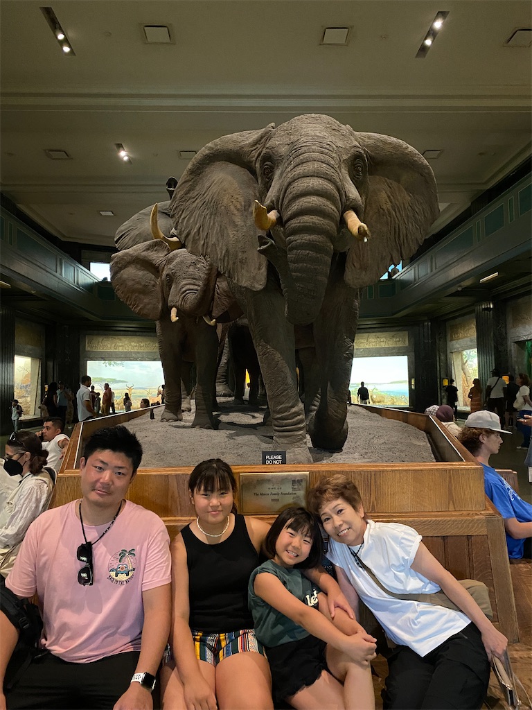 f:id:miki-from-usa:20230808223820j:image f:id:miki-from-usa:20230808223820j:image