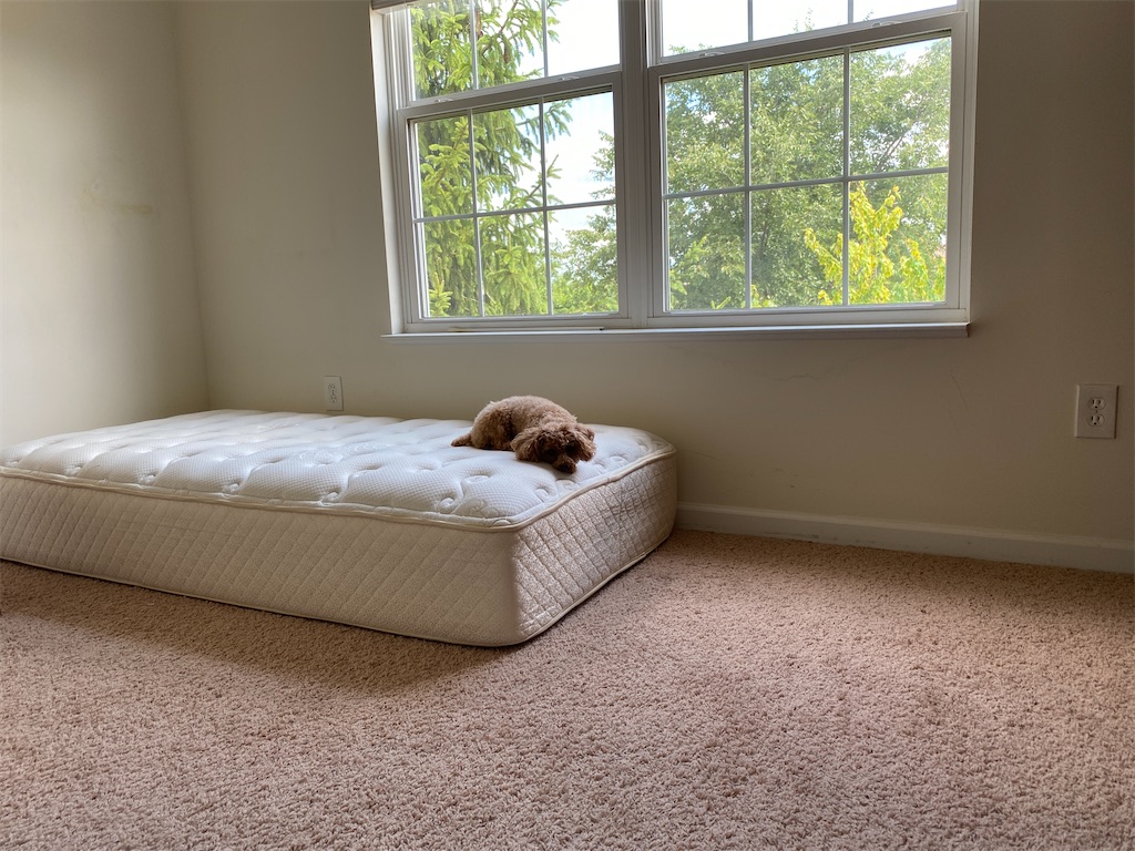 f:id:miki-from-usa:20230808224646j:image