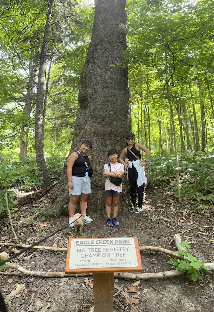 f:id:miki-from-usa:20230828045108j:image f:id:miki-from-usa:20230828045108j:image