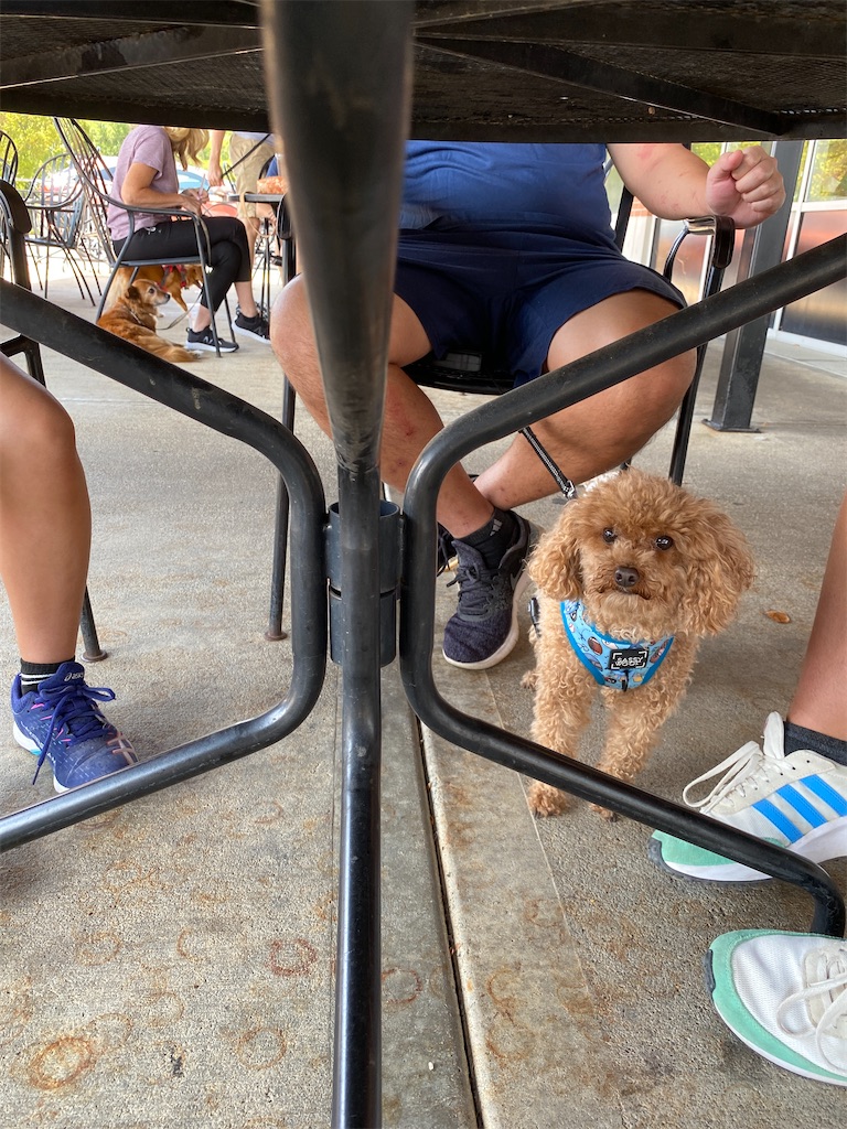 f:id:miki-from-usa:20230828045122j:image f:id:miki-from-usa:20230828045122j:image