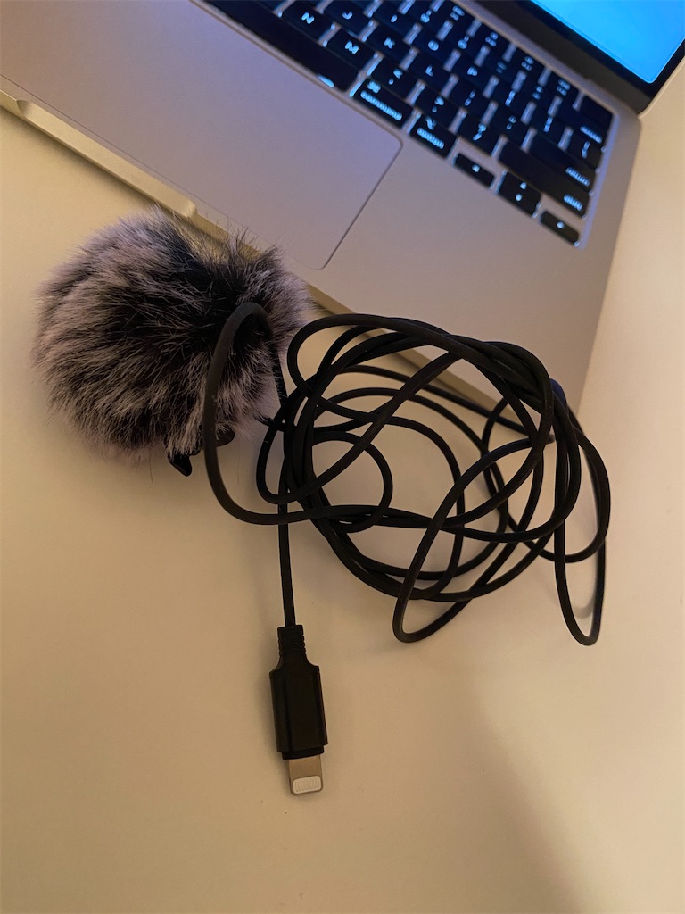 f:id:miki-from-usa:20231101190011j:image f:id:miki-from-usa:20231101190011j:image