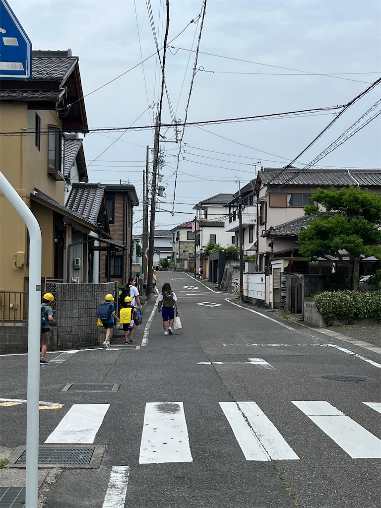 f:id:miki-from-usa:20240703144423j:image