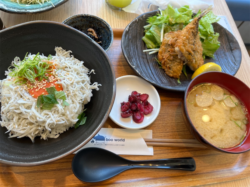 f:id:miki-from-usa:20240730102108j:image