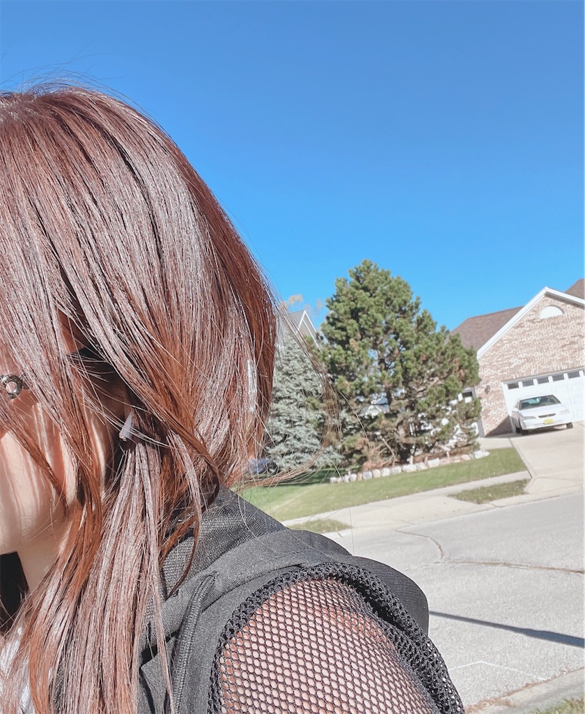 f:id:miki-from-usa:20241107072307j:image f:id:miki-from-usa:20241107072307j:image