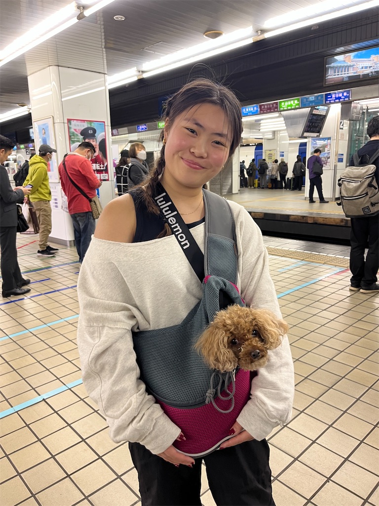 f:id:miki-from-usa:20250407213124j:image