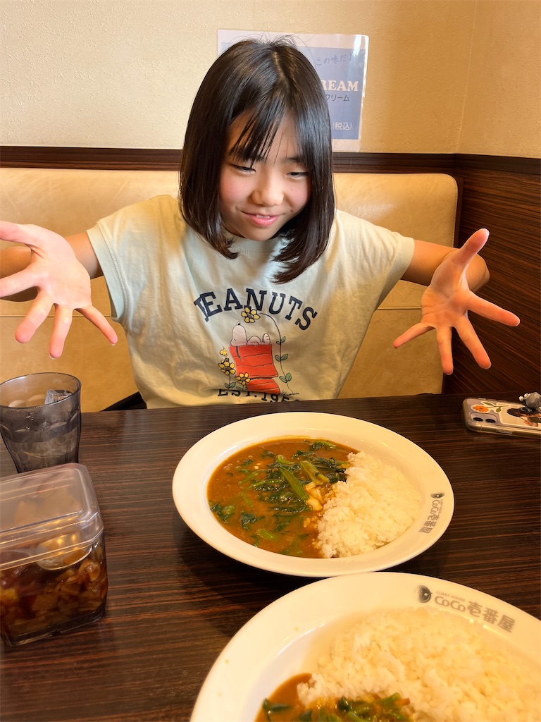 f:id:miki-from-usa:20250428090953j:image