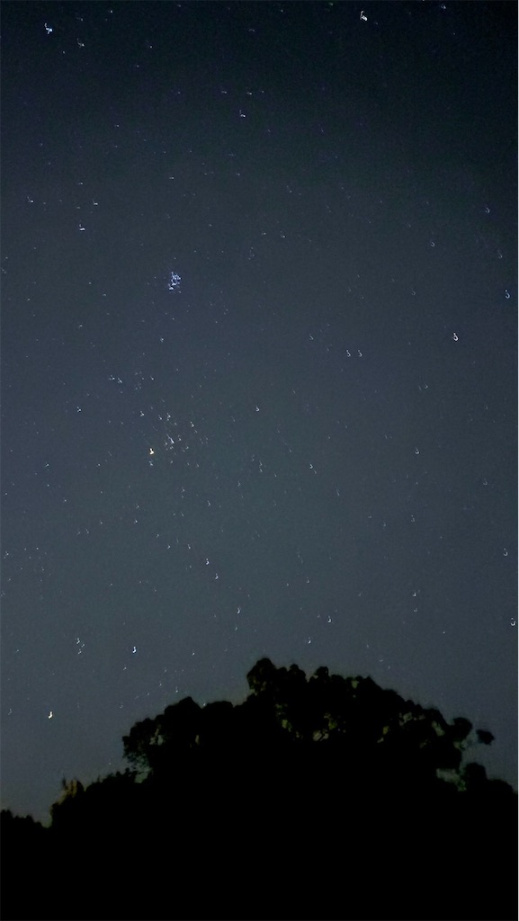 f:id:miki-from-usa:20251127085707j:image