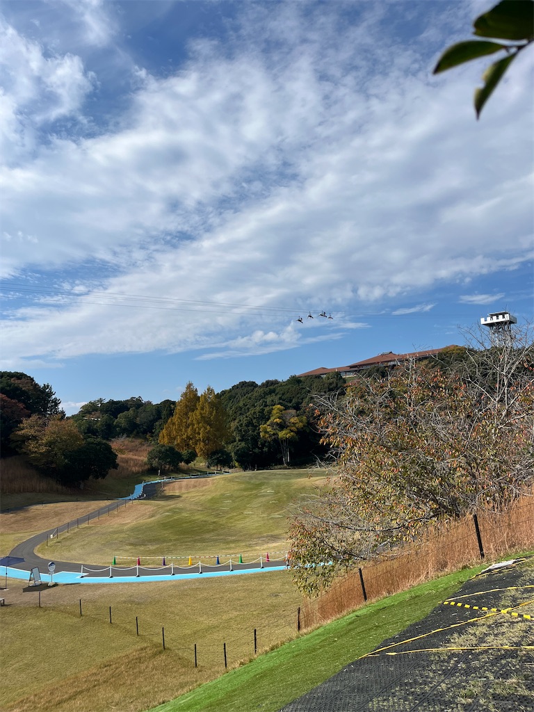 f:id:miki-from-usa:20251127085714j:image