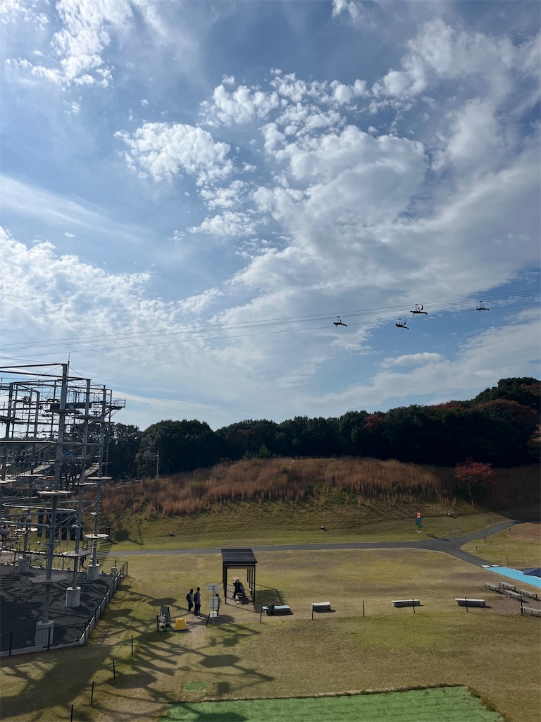 f:id:miki-from-usa:20251127085718j:image