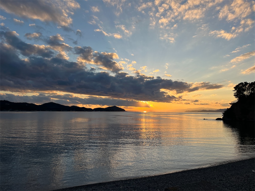 f:id:miki-from-usa:20251127085724j:image