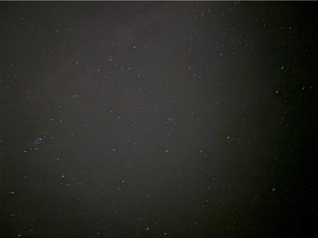 f:id:miki-from-usa:20251127085728j:image