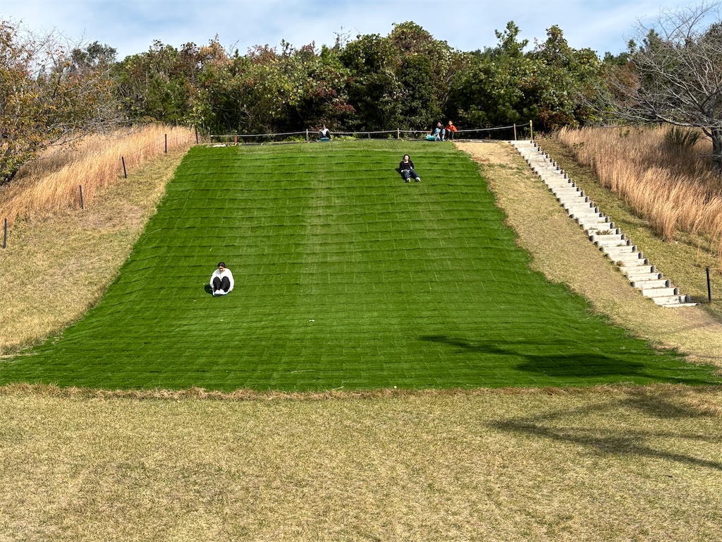 f:id:miki-from-usa:20251127085747j:image