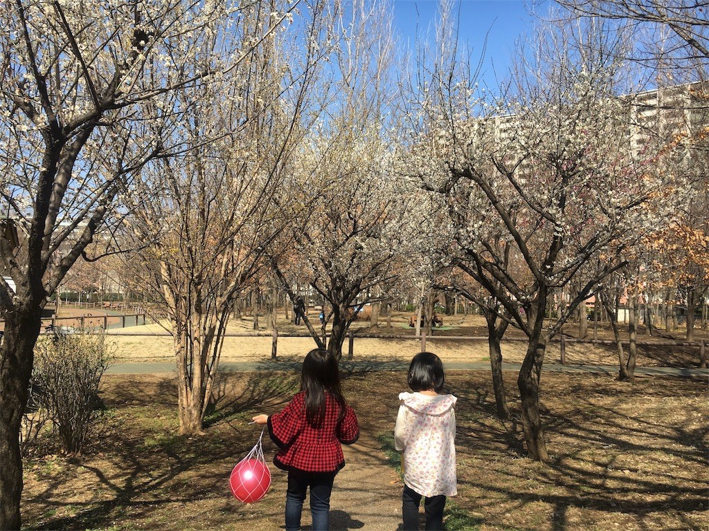 f:id:miki0507:20180304211251j:image f:id:miki0507:20180304211251j:image
