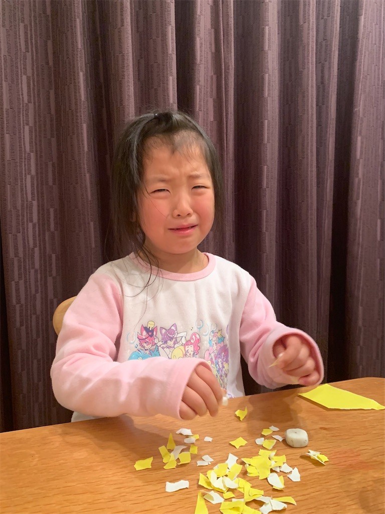 七田式 小学校 受験 プリント おまけコピー付き 国立小学校対策にも 七田式 小学校 受験 プリント おまけコピー付き 国立小学校対策