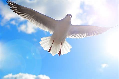 f:id:miki_1:20211208015136p:plain