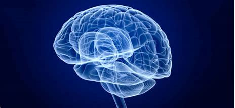 f:id:miki_1:20211208161848p:plain