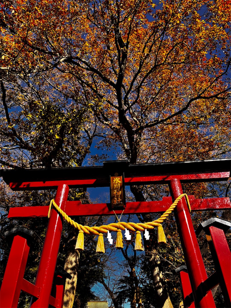 12月10日 何者にも妨げられず、こじろう。 - 毎日こじろう。