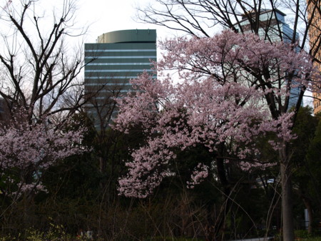 f:id:mikiayaya:20090321194702j:image f:id:mikiayaya:20090321194702j:image