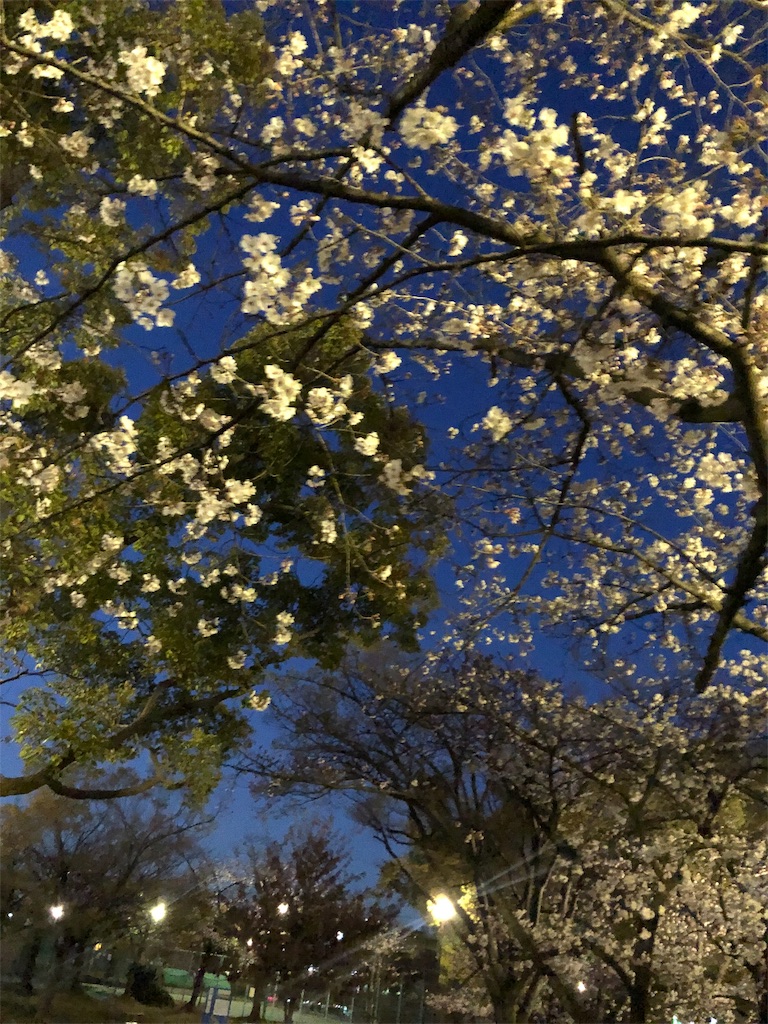 f:id:mikihito63:20190404192859j:image f:id:mikihito63:20190404192859j:image
