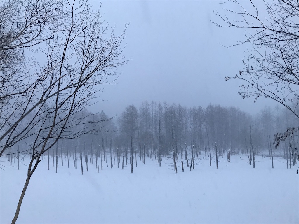 f:id:mikihori:20191225221619j:image f:id:mikihori:20191225221619j:image