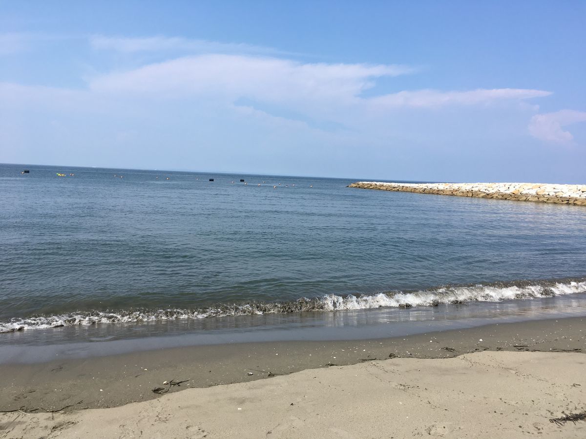 f:id:mikikoparis19:20190812100157j:plain f:id:mikikoparis19:20190812100157j:plain