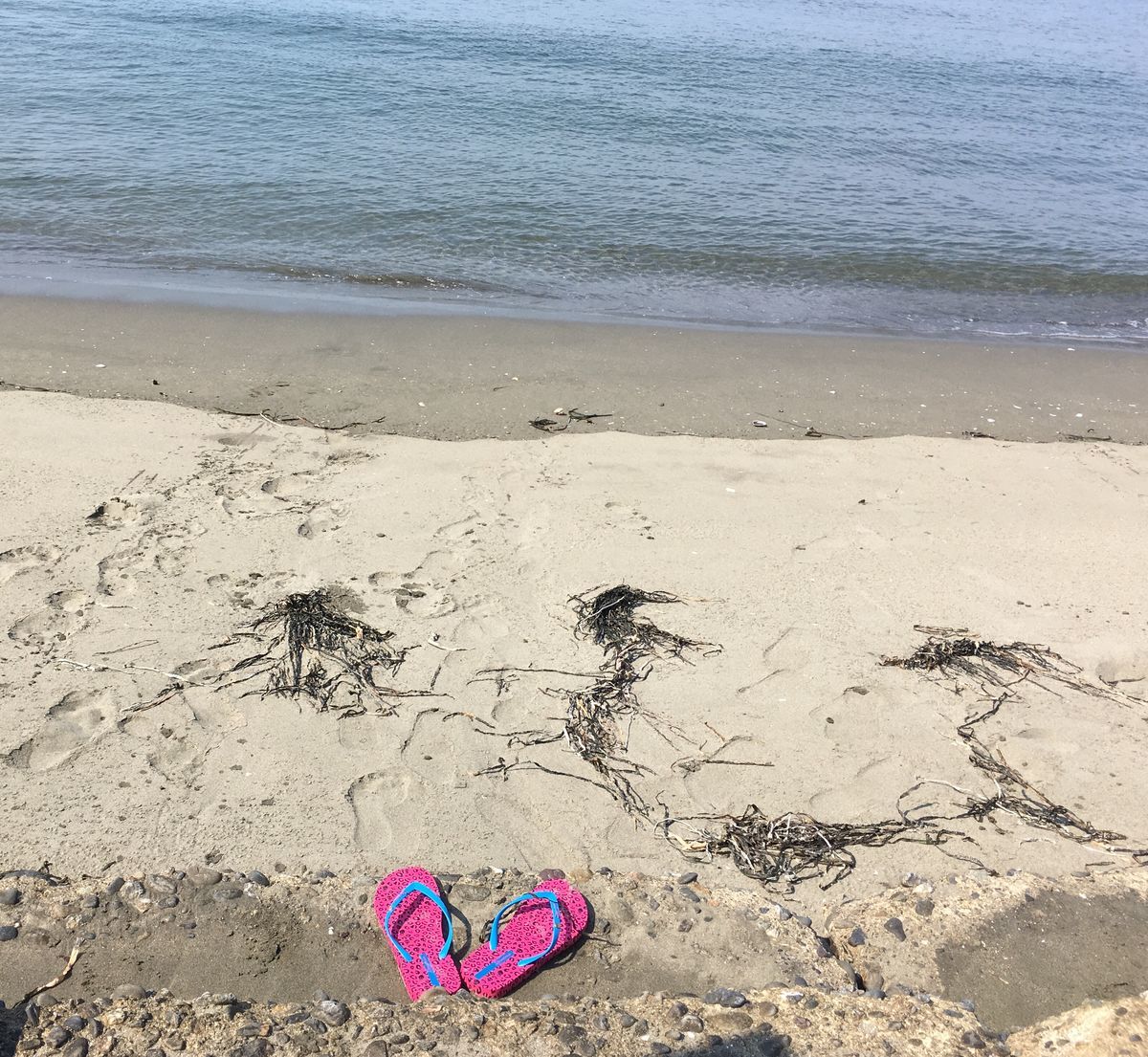 f:id:mikikoparis19:20190812100230j:plain f:id:mikikoparis19:20190812100230j:plain