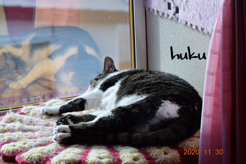 f:id:mikimiki131:20201130095603j:plain