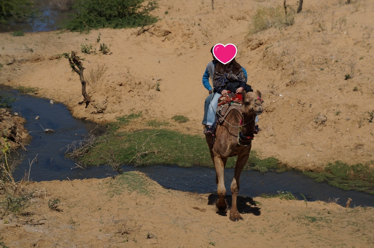 f:id:mikiminmin:20190322233049j:plain f:id:mikiminmin:20190322233049j:plain