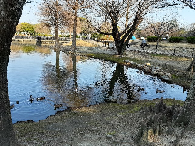 f:id:mikiminmin:20210222210958j:image