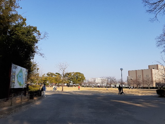 f:id:mikiminmin:20210222211110j:image