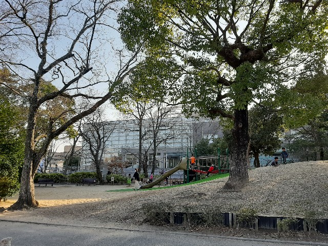 f:id:mikiminmin:20210222211136j:image