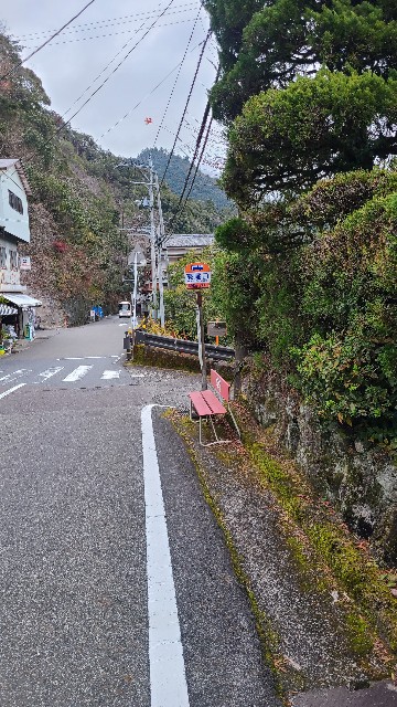 f:id:mikimiyamiki:20220116125853j:image f:id:mikimiyamiki:20220116125853j:image