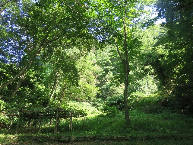 f:id:mikine1228:20180713121240j:image