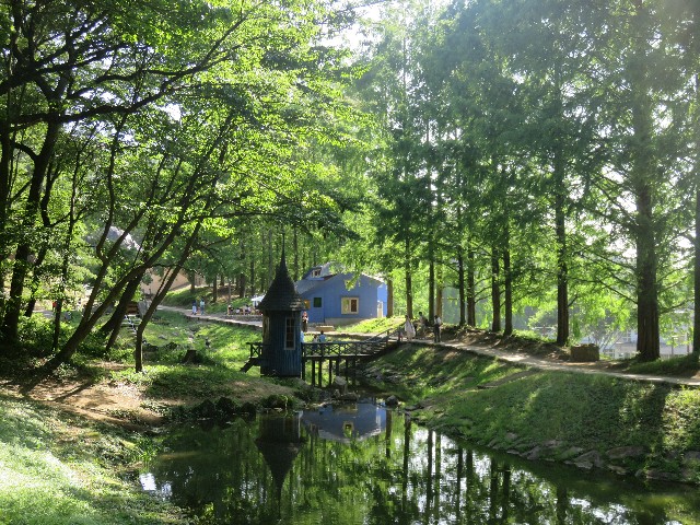 f:id:mikine1228:20180713121753j:image