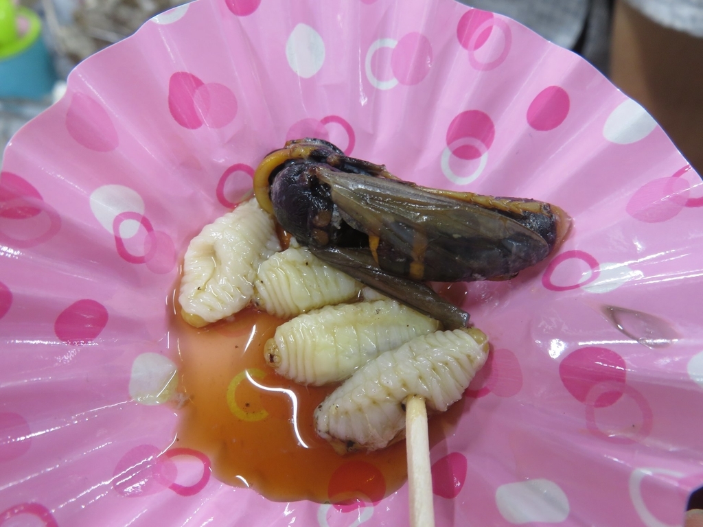 f:id:mikine1228:20181110183606j:plain