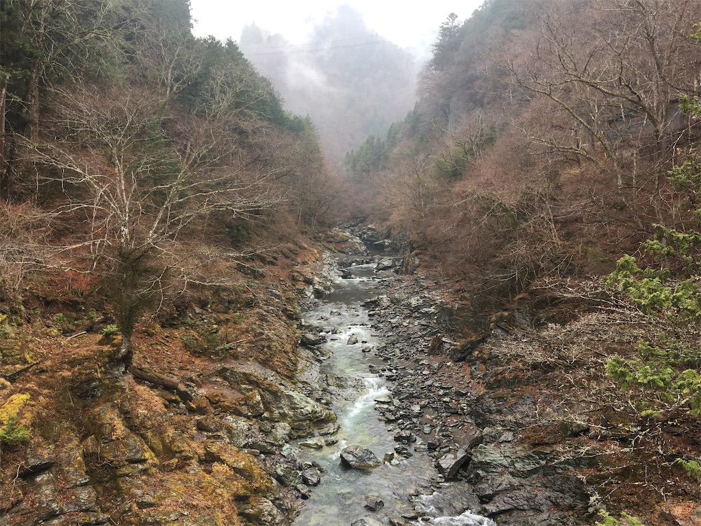 f:id:mikine1228:20210405092806j:image f:id:mikine1228:20210405092806j:image