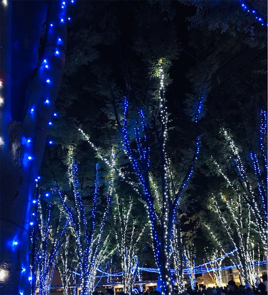 f:id:mikingstar01:20191110141235j:image f:id:mikingstar01:20191110141235j:image