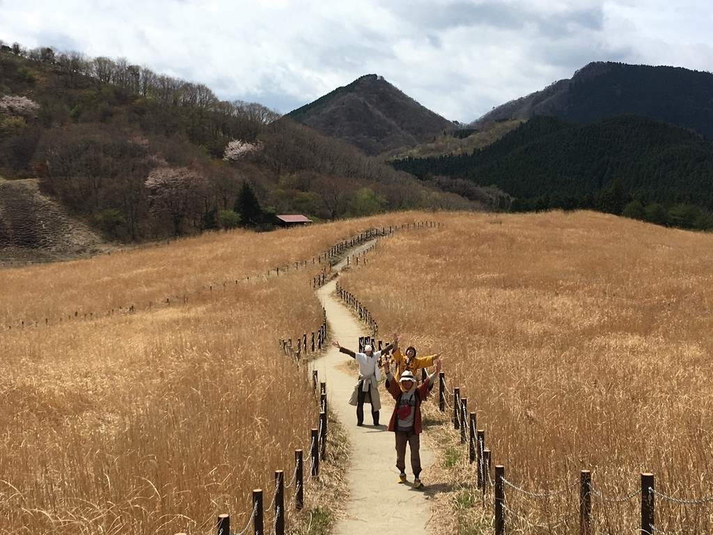f:id:mikio05:20190220091429j:plain
