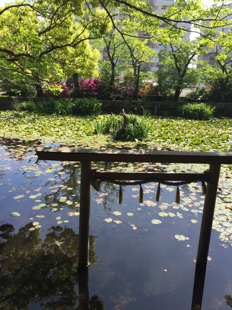f:id:mikio05:20190220142156j:plain f:id:mikio05:20190220142156j:plain