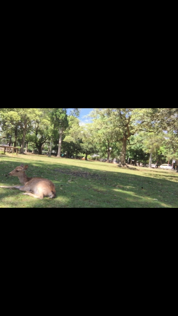 f:id:mikio05:20190222142122p:plain