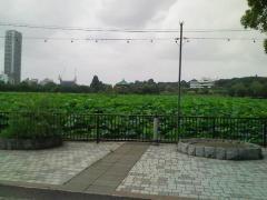 f:id:mikiofuku:20070709091638j:image
