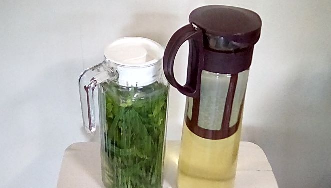 f:id:mikipan:20190810213329j:plain