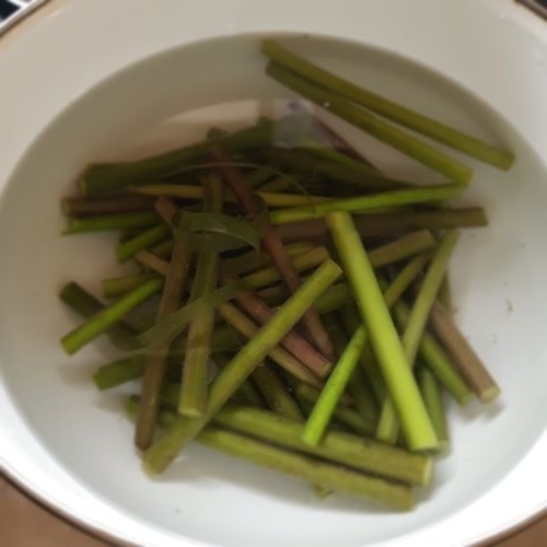 旬の庭採れツワブキできゃらぶき 肉巻き つくる 食べる 暮らす 旬の庭採れツワブキできゃらぶき 肉巻き つくる 食べる 暮らす
