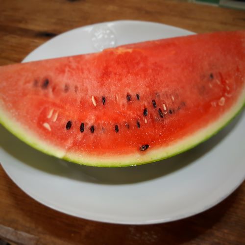 f:id:mikipan:20200811225504j:plain f:id:mikipan:20200811225504j:plain