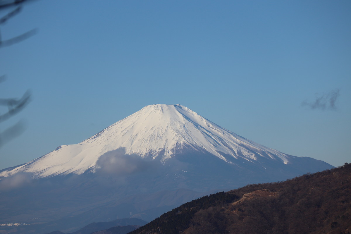 f:id:mikisakai:20220103085904j:plain