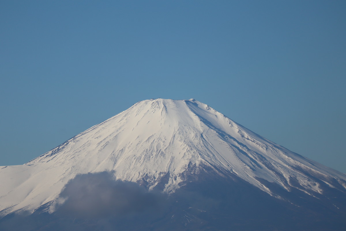 f:id:mikisakai:20220103085923j:plain